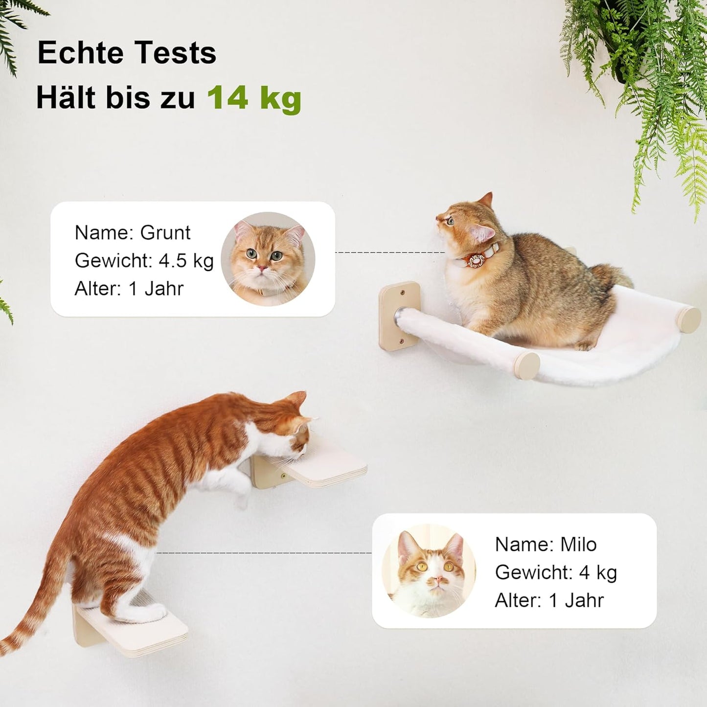 Kletterwand-Set für Katzen mit Hängematte und Treppen, kletterwand Set