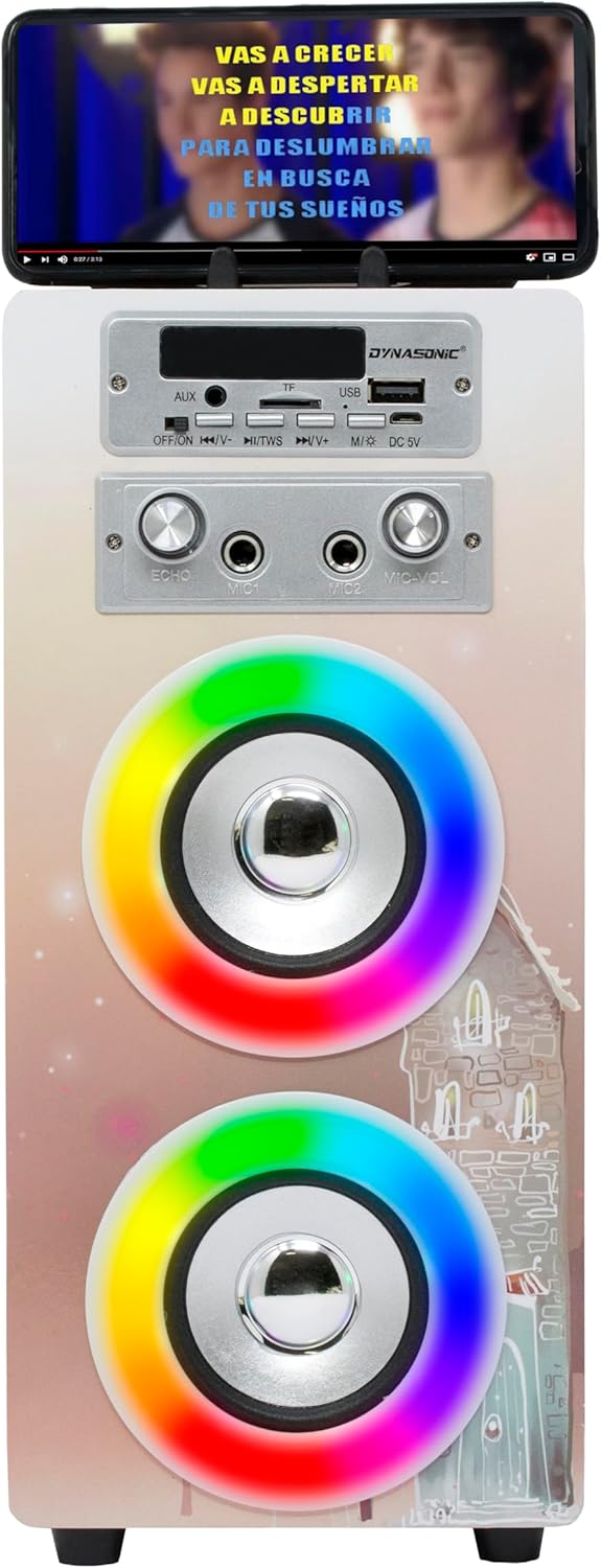 Tragbare Karaoke-Maschine mit 2 Mikrofonen, Model 19
