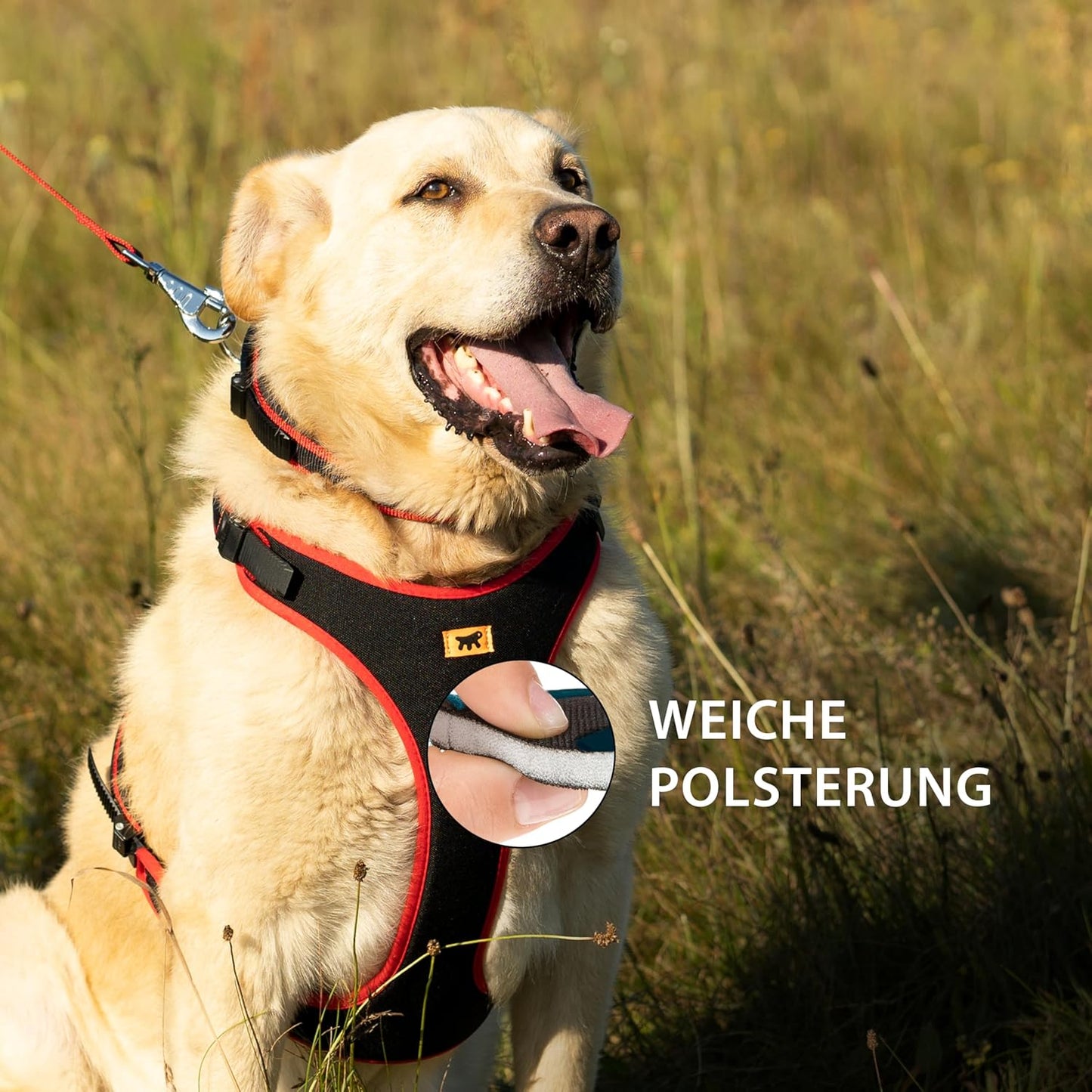 Verstellbares Hundegeschirr, Rot|Halsumfang: 50-60 cm/ Brustumfang: 70-80 cm