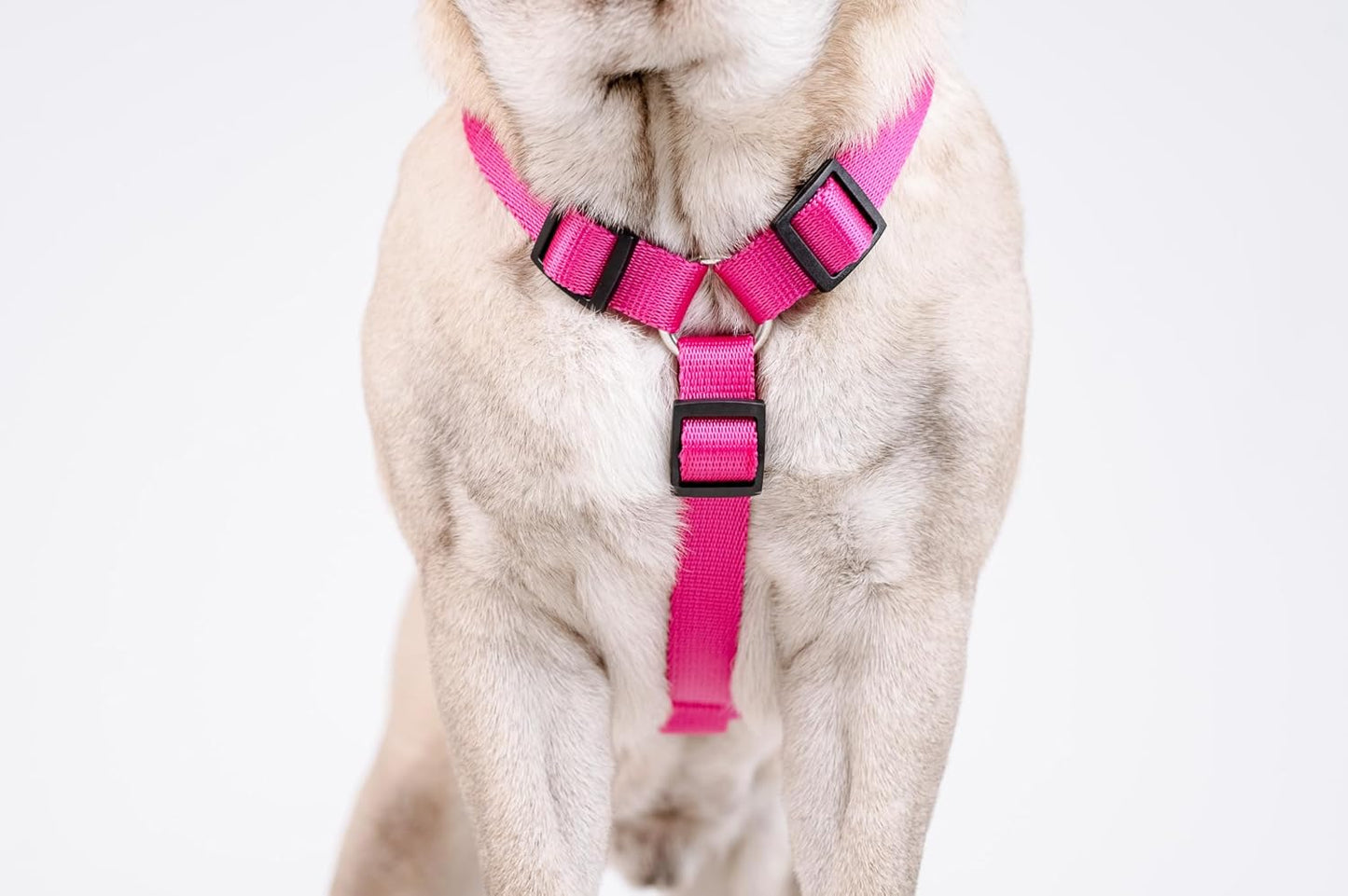 Guard - Ausbruchssicheres Hundegeschirr, M, Rosa