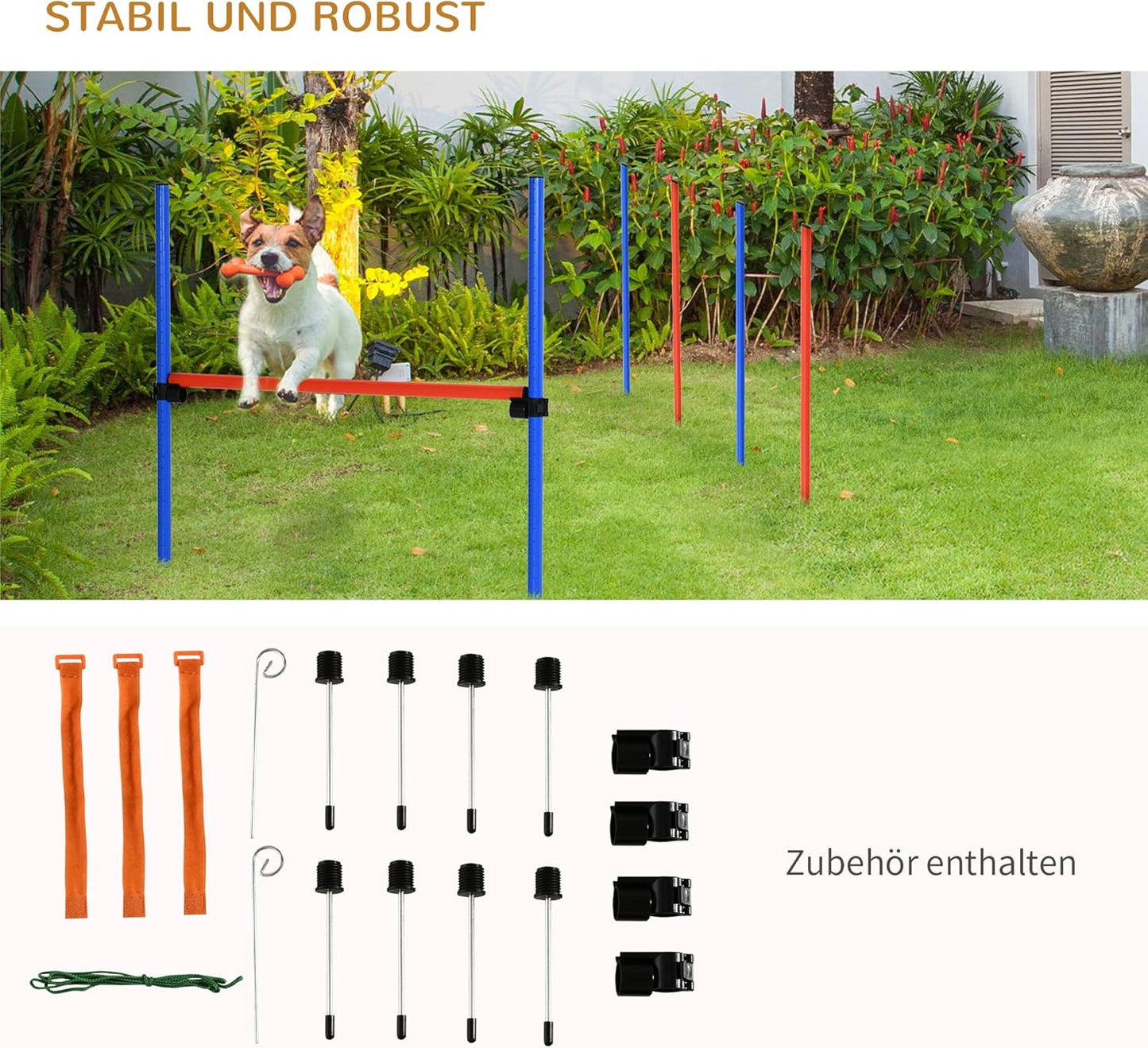 Agility-Übungs-Set Slalom & Hürden