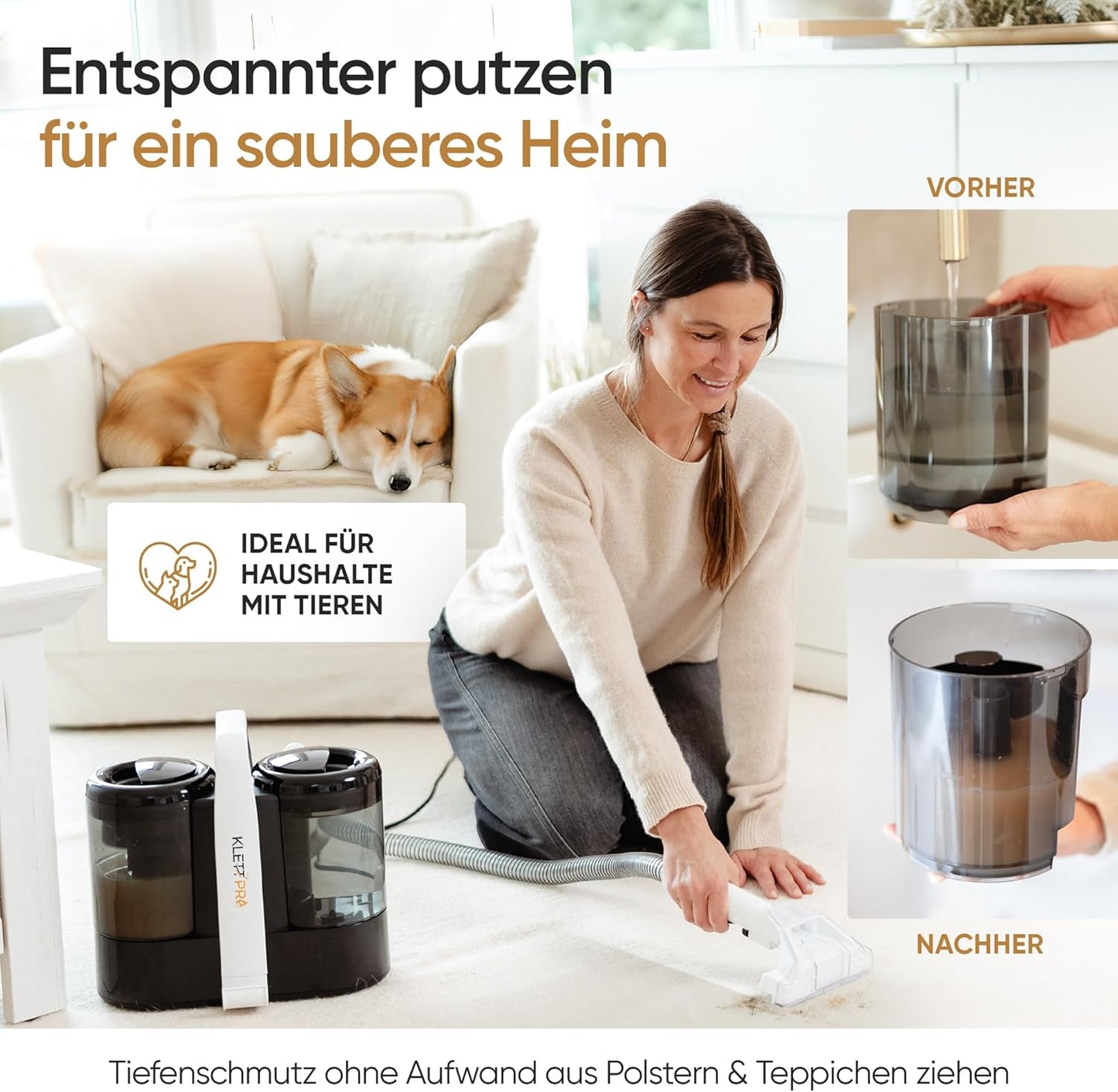 Selbstreinigender Polsterreiniger PR-654A für Haushalt & Auto