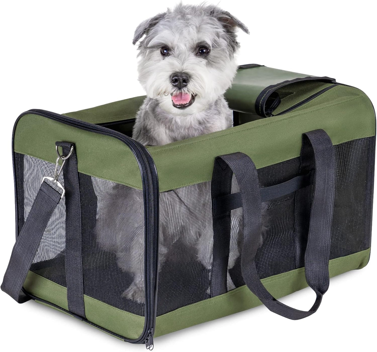 Faltbare Hunde- und Katzentransportbox, Gross Grün