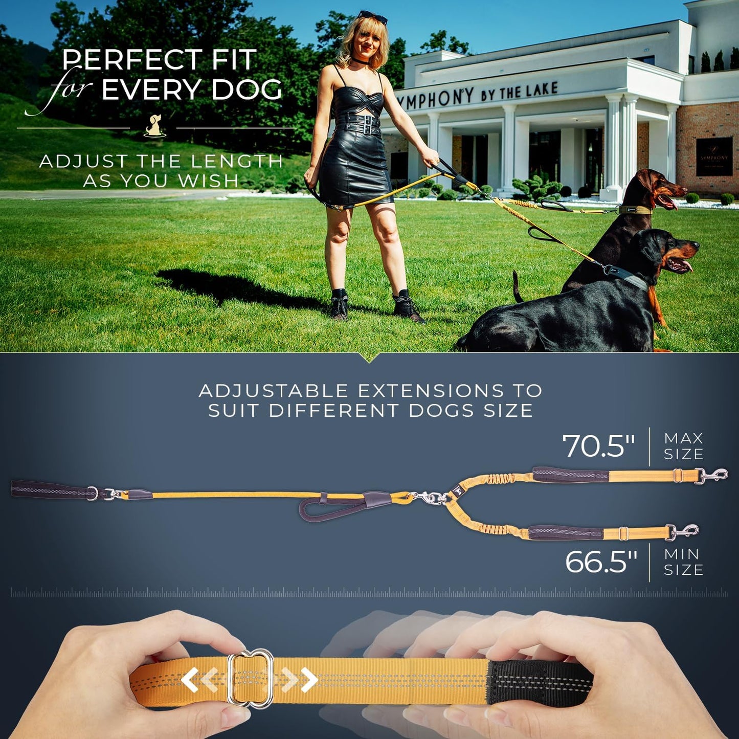 Doppel-Leine für Zwei Hunde, stossdämpfend, verstellbar, Einstellbar Premium Gold Für 2 mittelgrosse/grosse Hunde