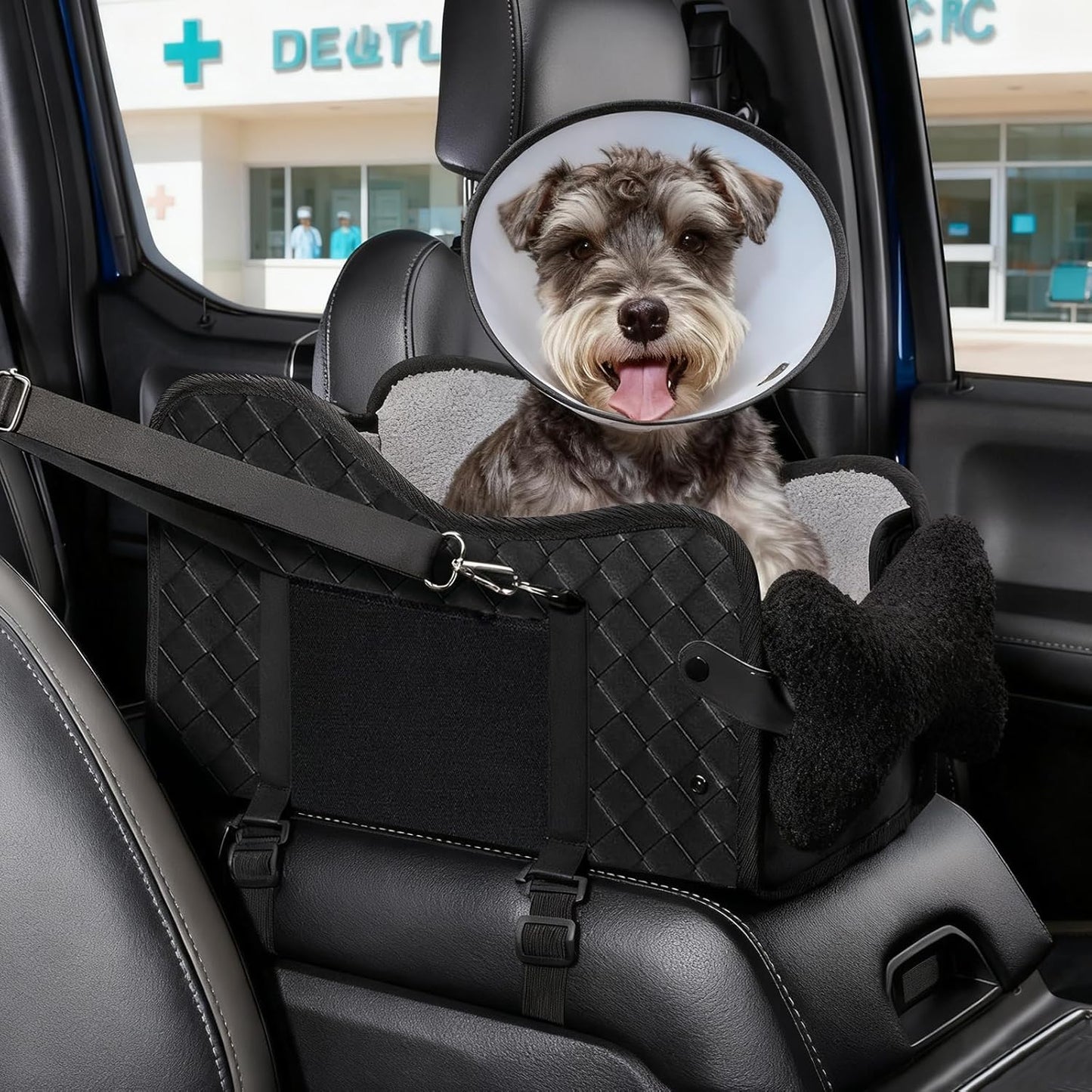 Hundeautositz für Mittelkonsole mit Sicherheitsgurt, A