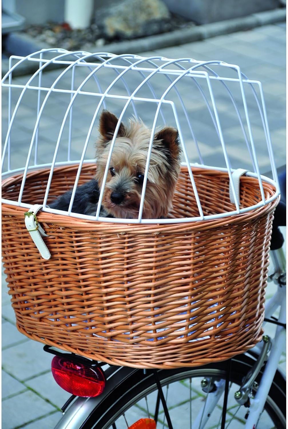 Velo-Tierkorb mit Halterung