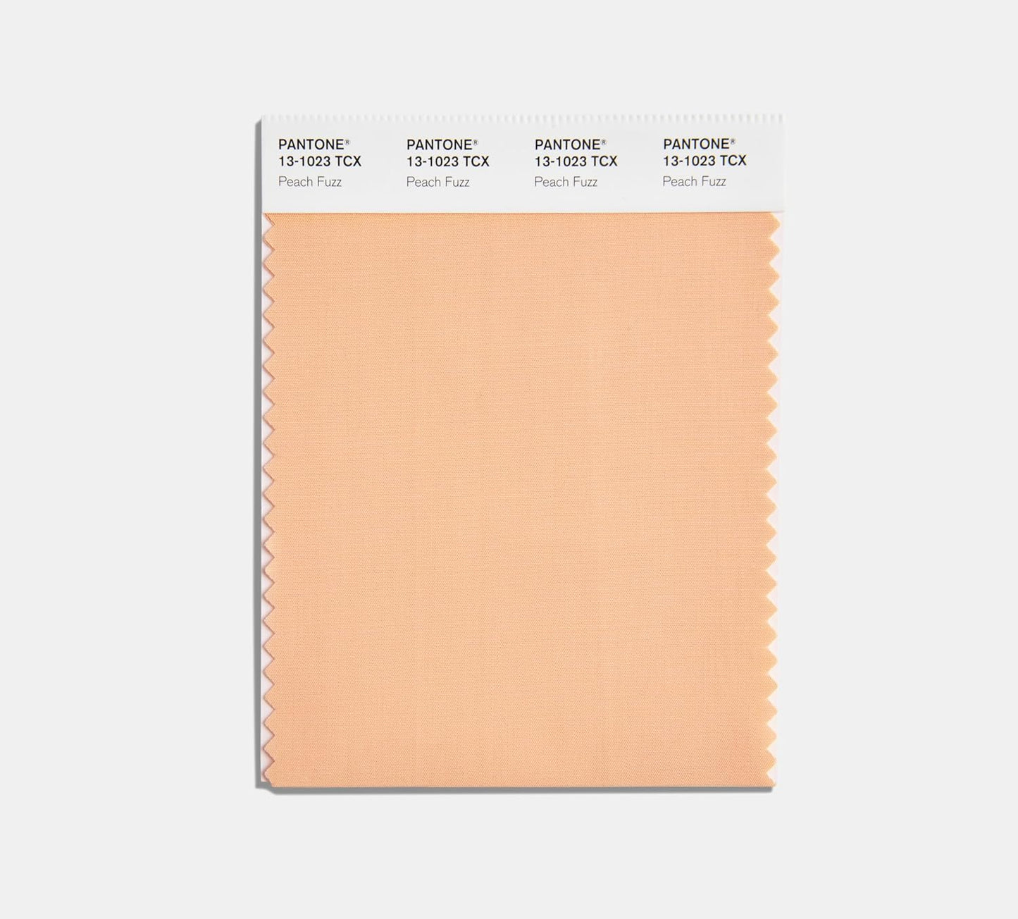 FHI Color Guide mit Jahresfarbauswahl 2024