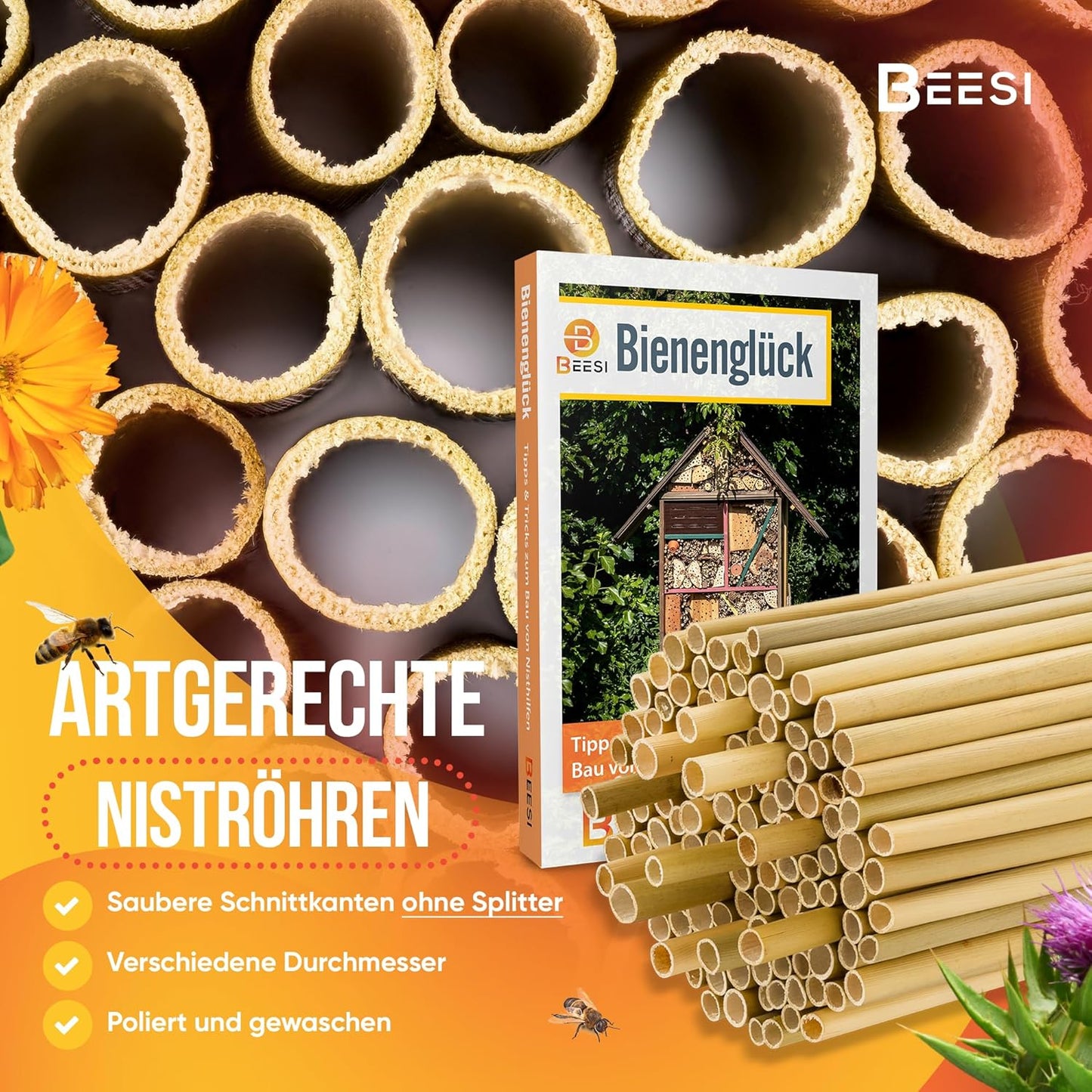Bambusrohre für Insektenhotel
