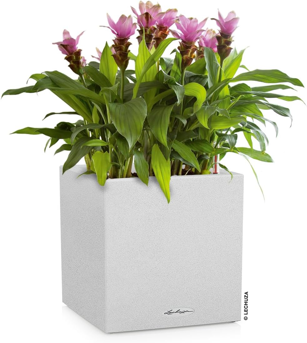Blumentopf Canto Stone 30, 30x30x30 cm Quarzweiss