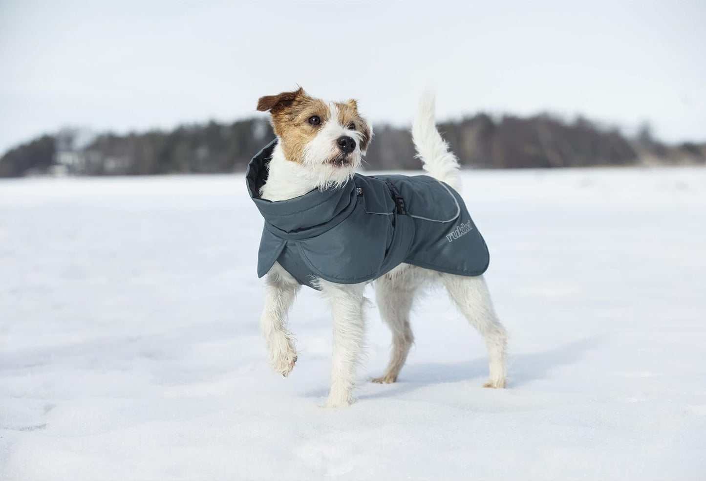 Stormy Hundemantel für kalte Tage, 40 Olive