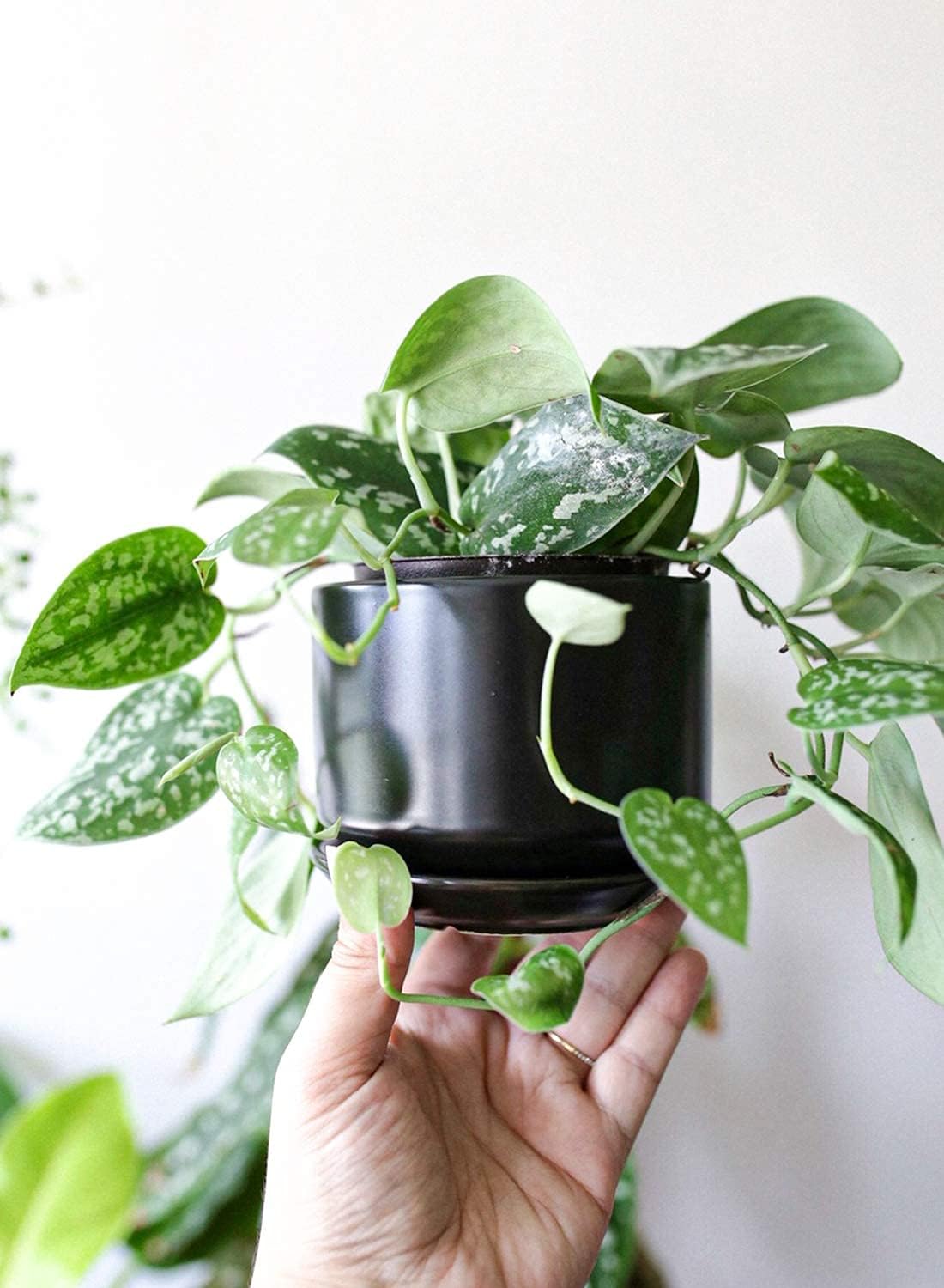 Keramik Blumentopf-Set mit Untersetzer, Schwarz