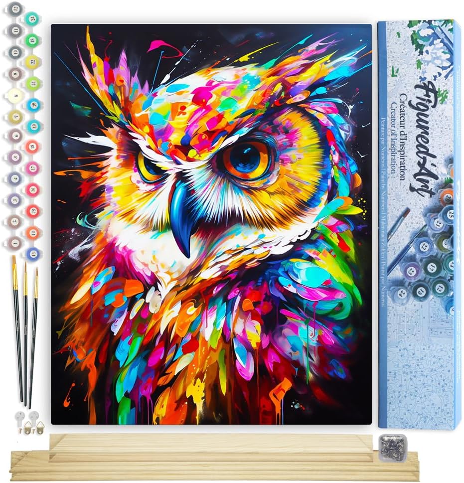 Malen Nach Zahlen Set Eule, Eule Farbenfroh Abstrakt 40x50cm Mit Keilrahmen (nicht gespannt)