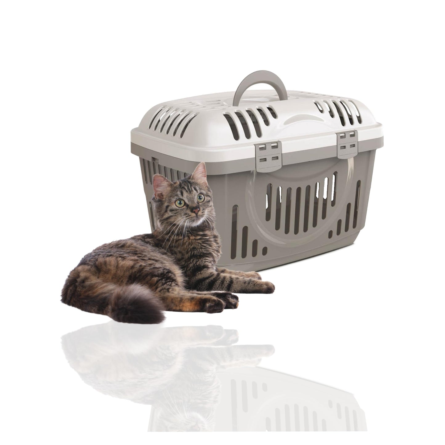Transportbox für Katzen mit Griff, Grau