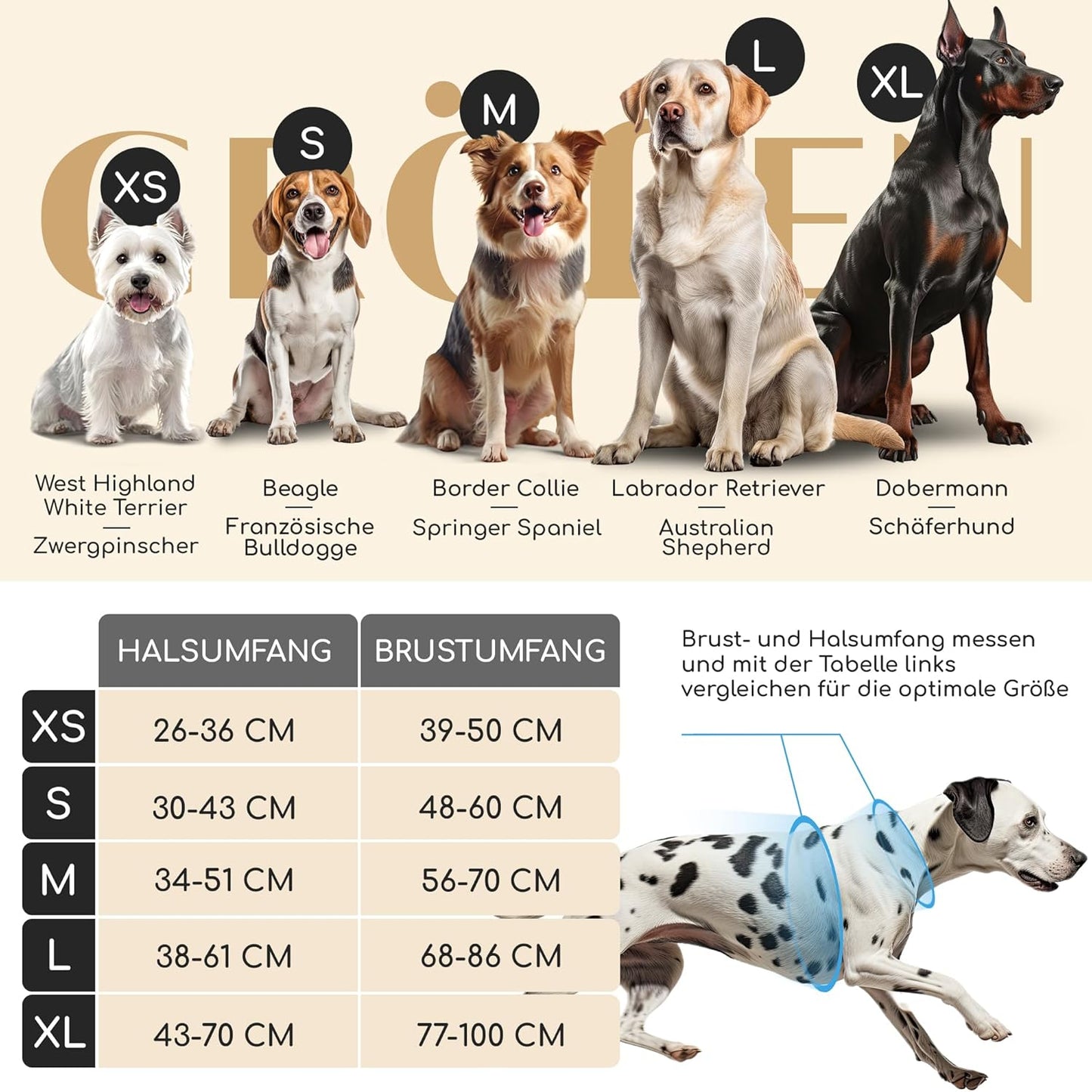 Hundegeschirr mit Griff, gepolstert & sicher, S Braun