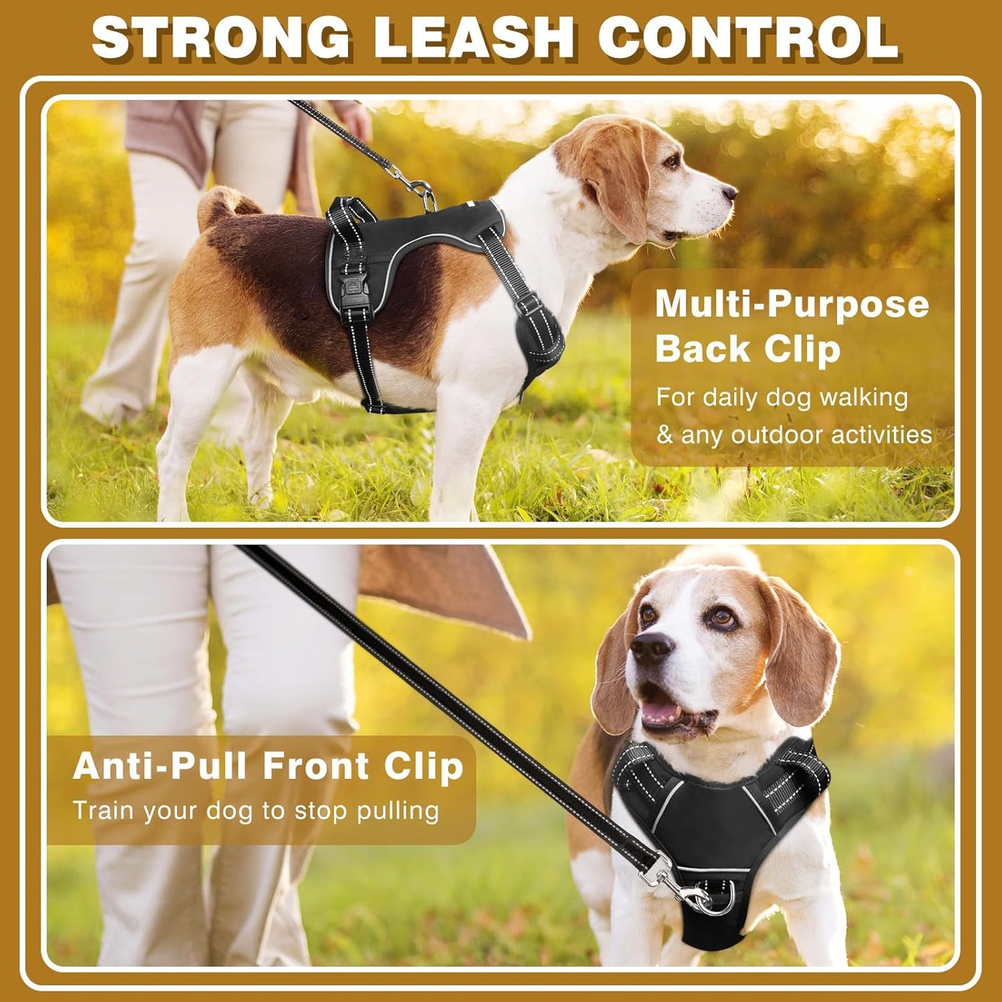 Hundegeschirr mit Halsband, Large Schwarz