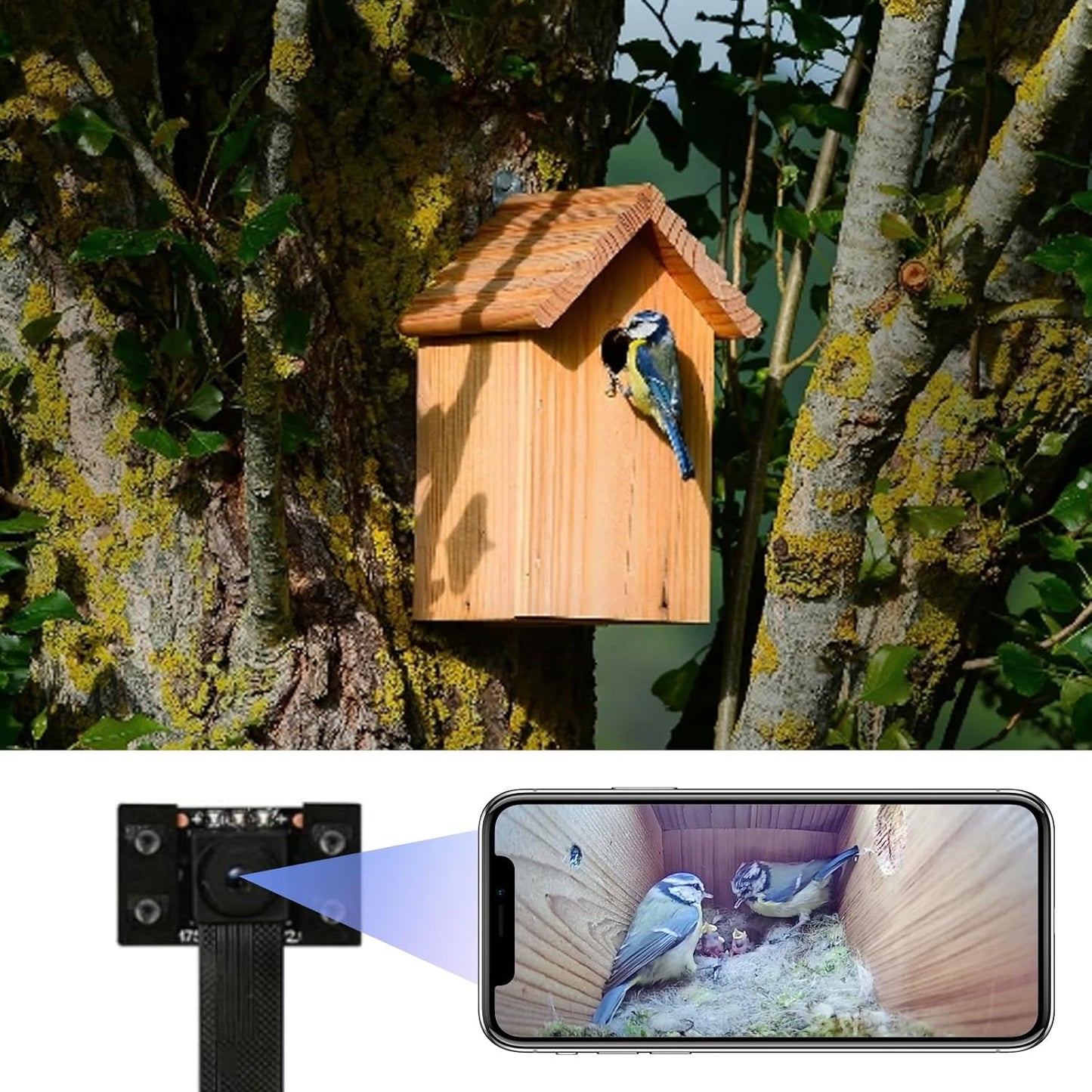 4K Mini WLAN-Kamera für Nistkästen mit Nachtsicht