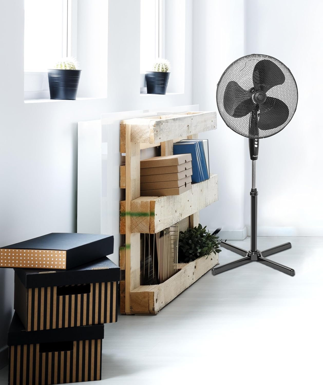Standventilator ASV45Z, Schwarz