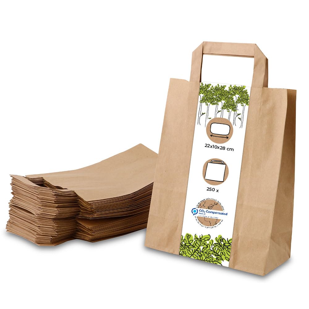 Papiertragetaschen mit Henkel, 250 Stück, 22 x 10 x 28cm (250 Stück)