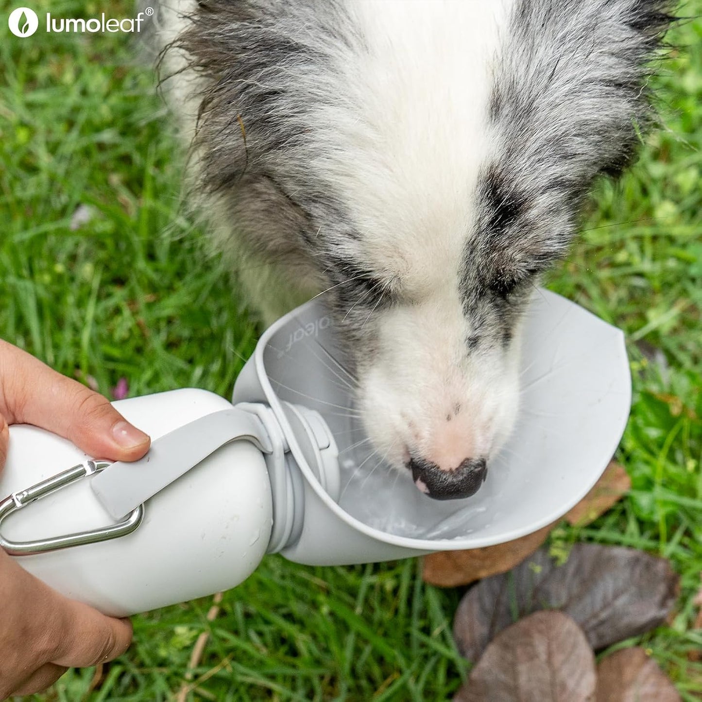 Isolierte Hundewasserflasche, Grau 800 ml