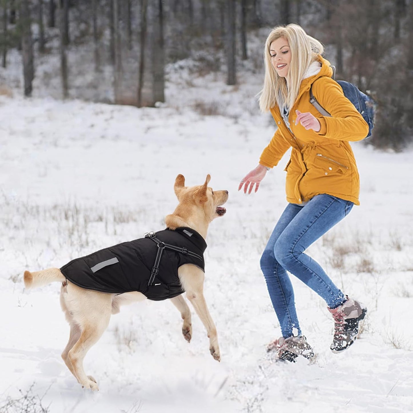 Winddichter Hundemantel, XL Lila