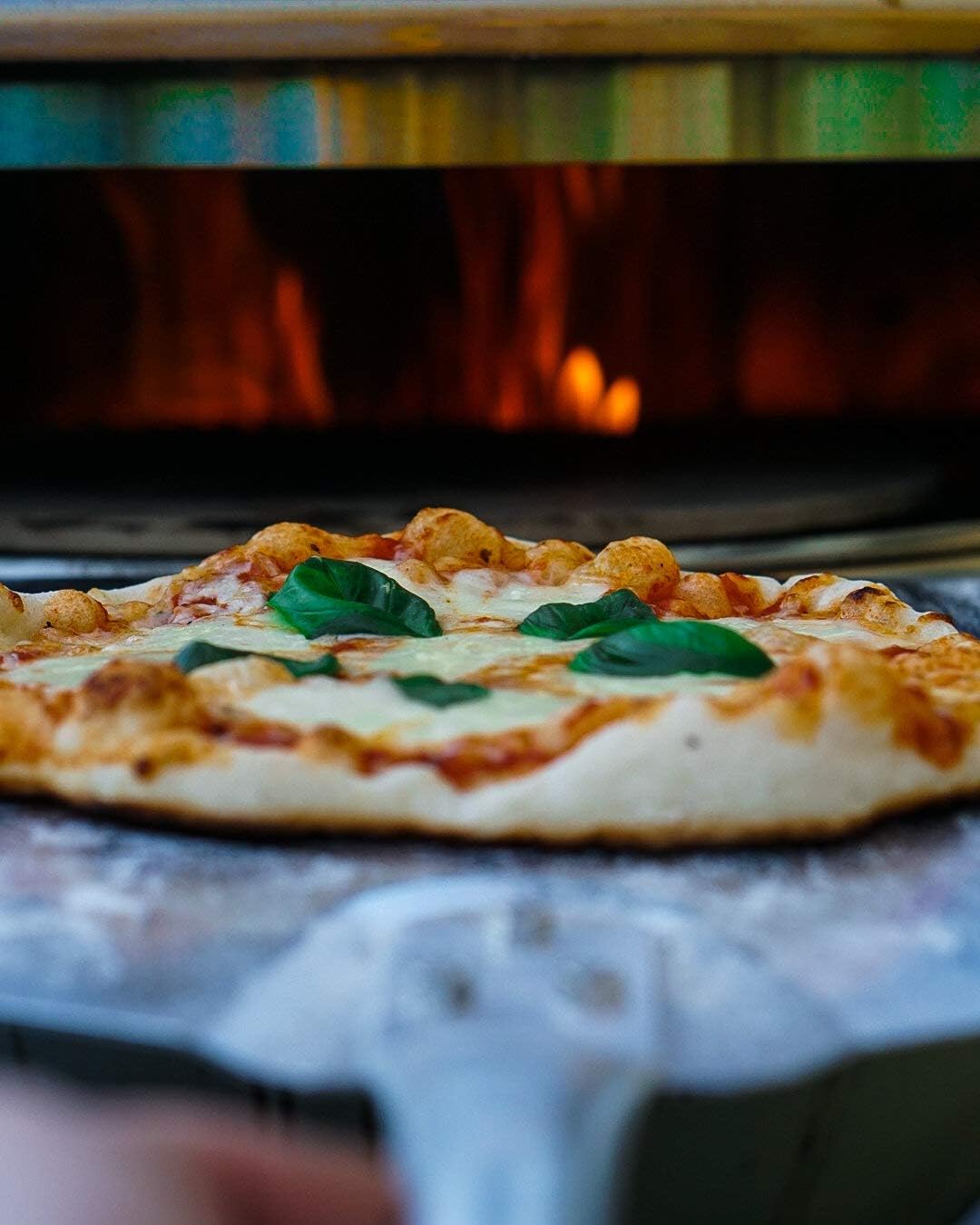 Pizzaeinsatz und Drehspiess
