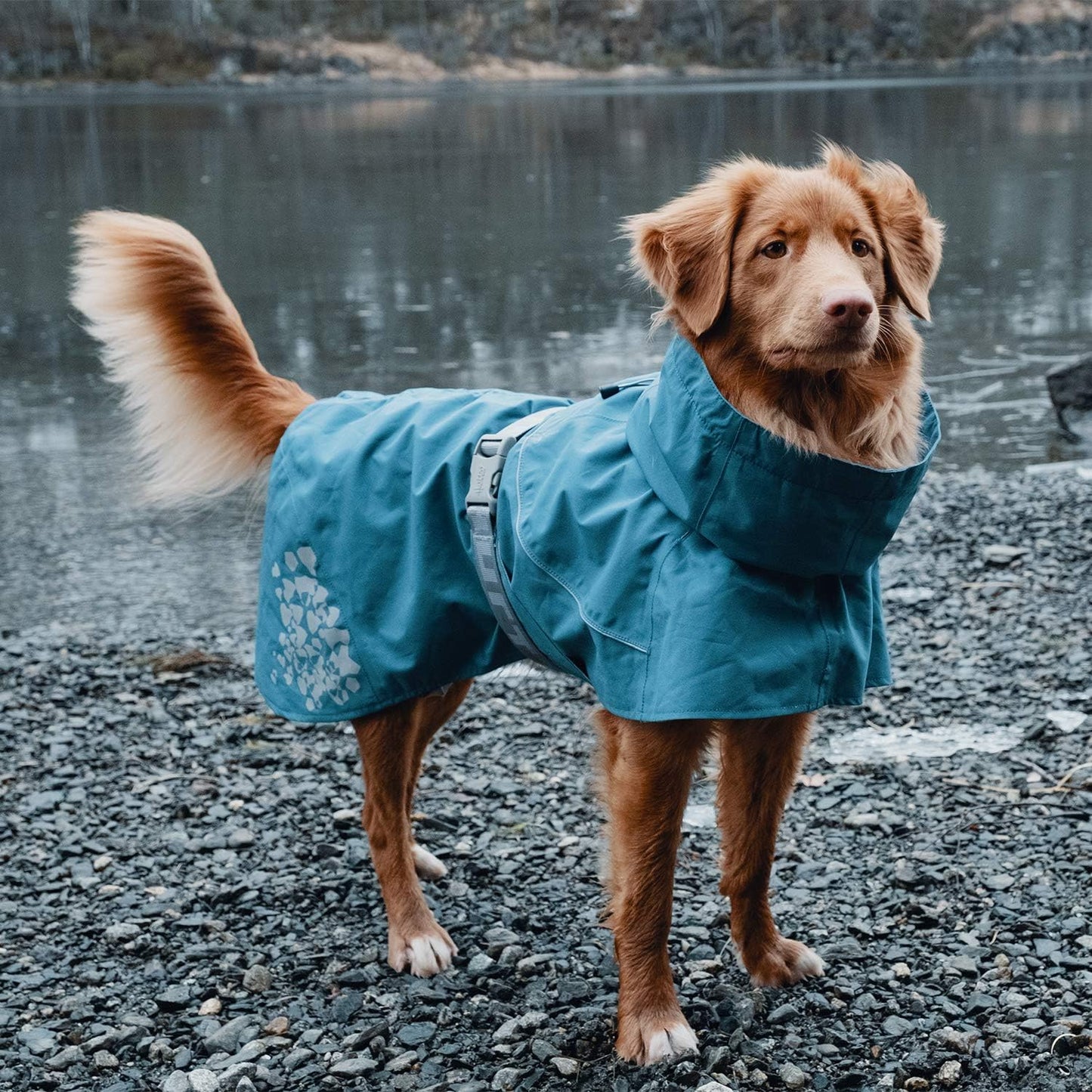 Monsoon Hunderegenmantel