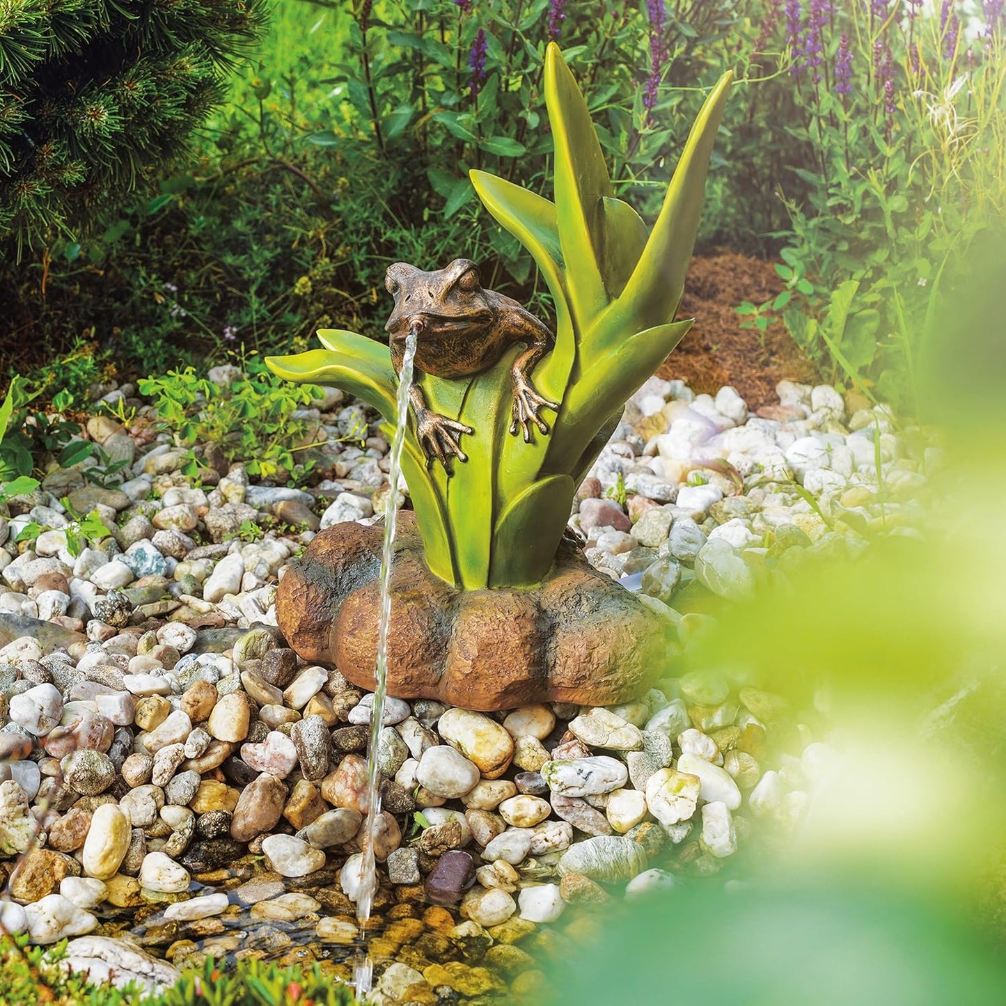 Solar-Wasserspeier-Set Frosch
