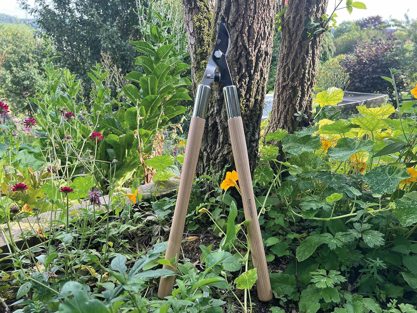 Kew Gardens Woodland Astschere, Astschere, Kohlenstoffstahl Holz