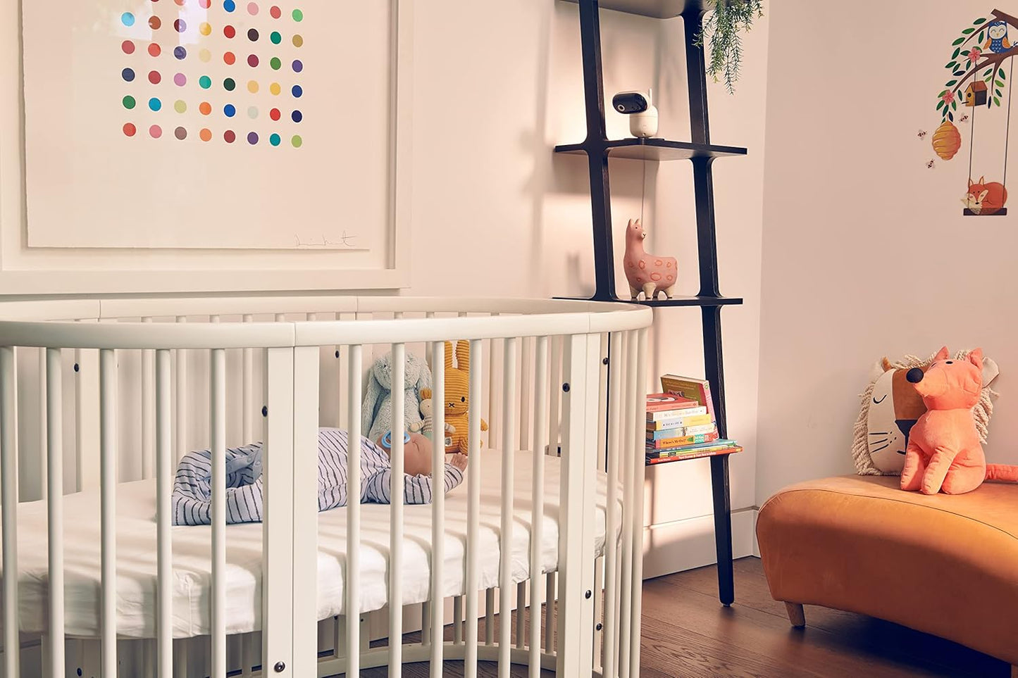 Babyphone Video PIP1010 mit Kamera und Nachtsicht, PIP1010 Connected