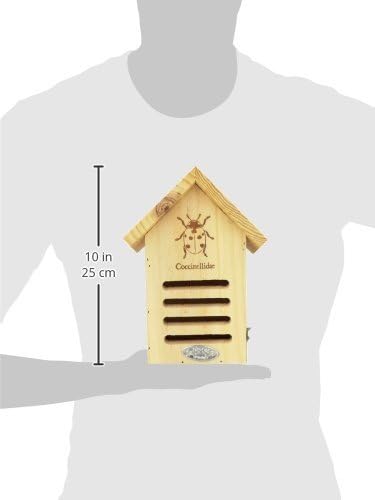 Marienkäferhaus mit Silhouette