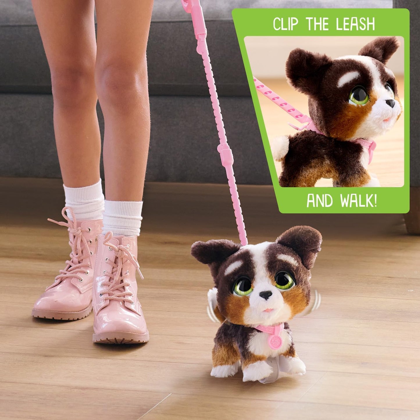 Walk-A-Lots Bernadoodle, Bernedoodle
