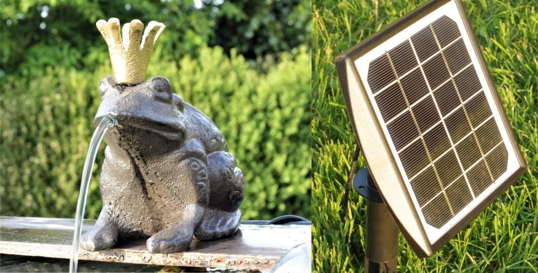 Wasserspeier Froschkönig mit Solarpumpe Solaris 170