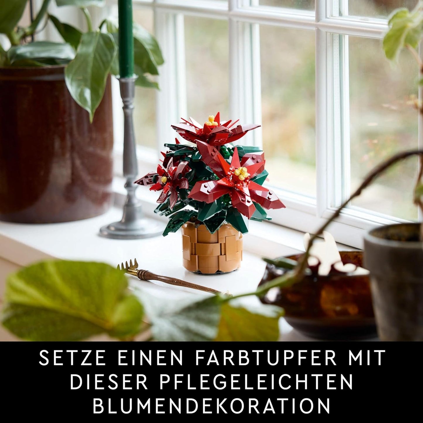 Weihnachtsstern