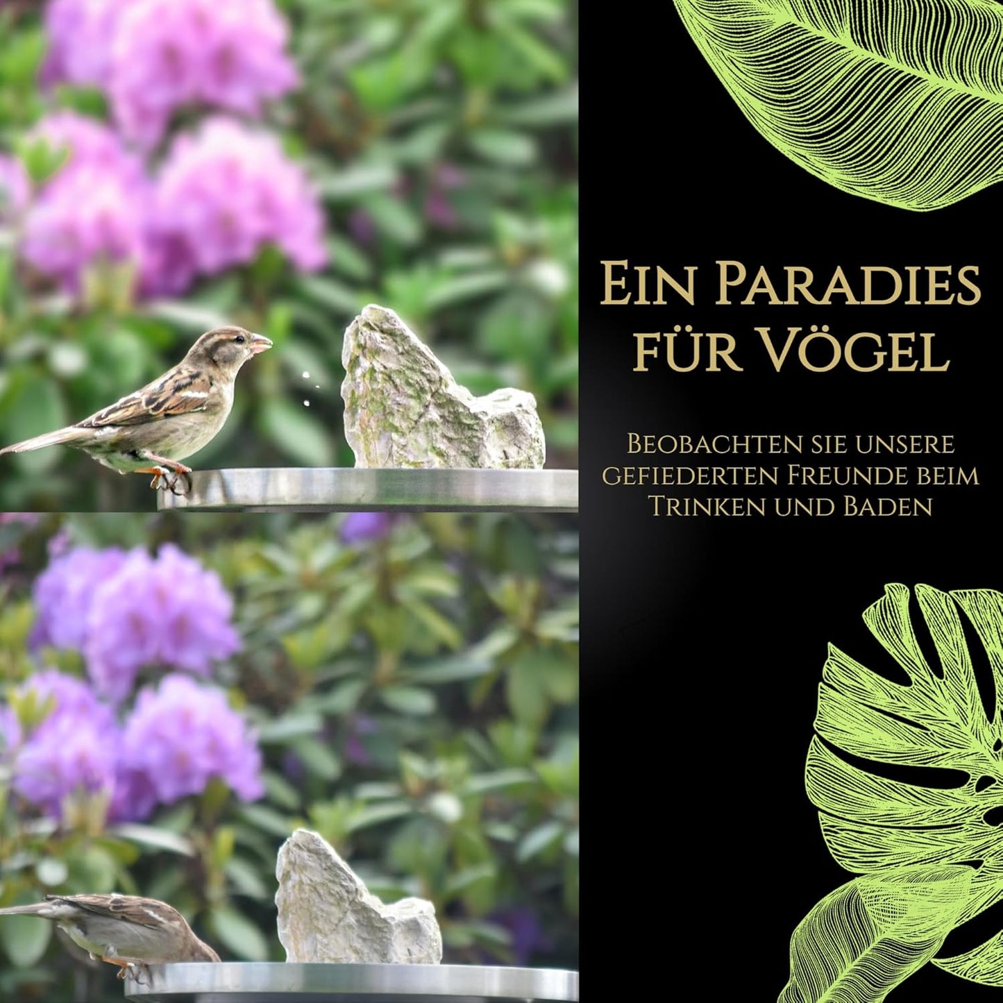 Vogeltränke stehend aus Edelstahl, Edelstahl