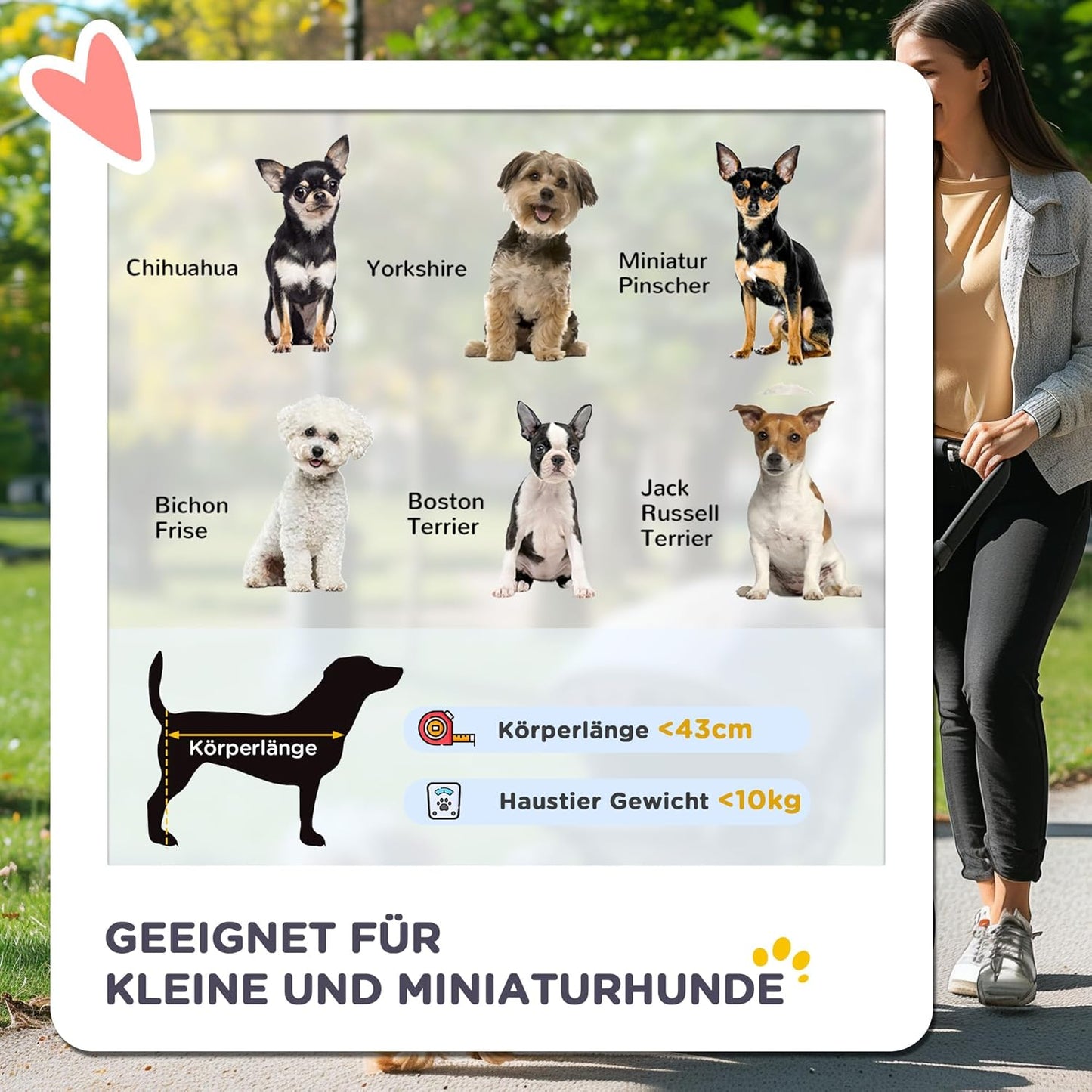 Hundebuggy für kleine Hunde und Katzen, Blau