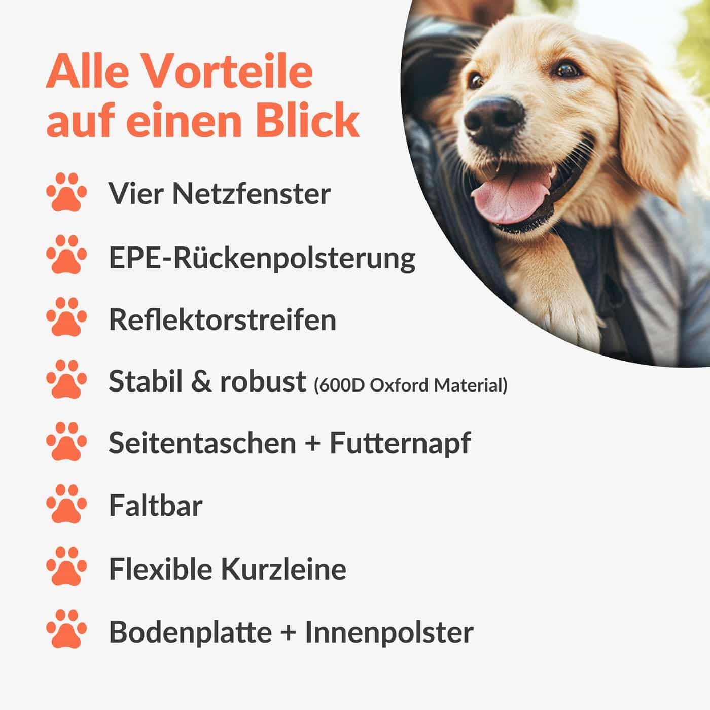 Haustierrucksack bis 20 kg, faltbar mit Kurzleine, Schwarz
