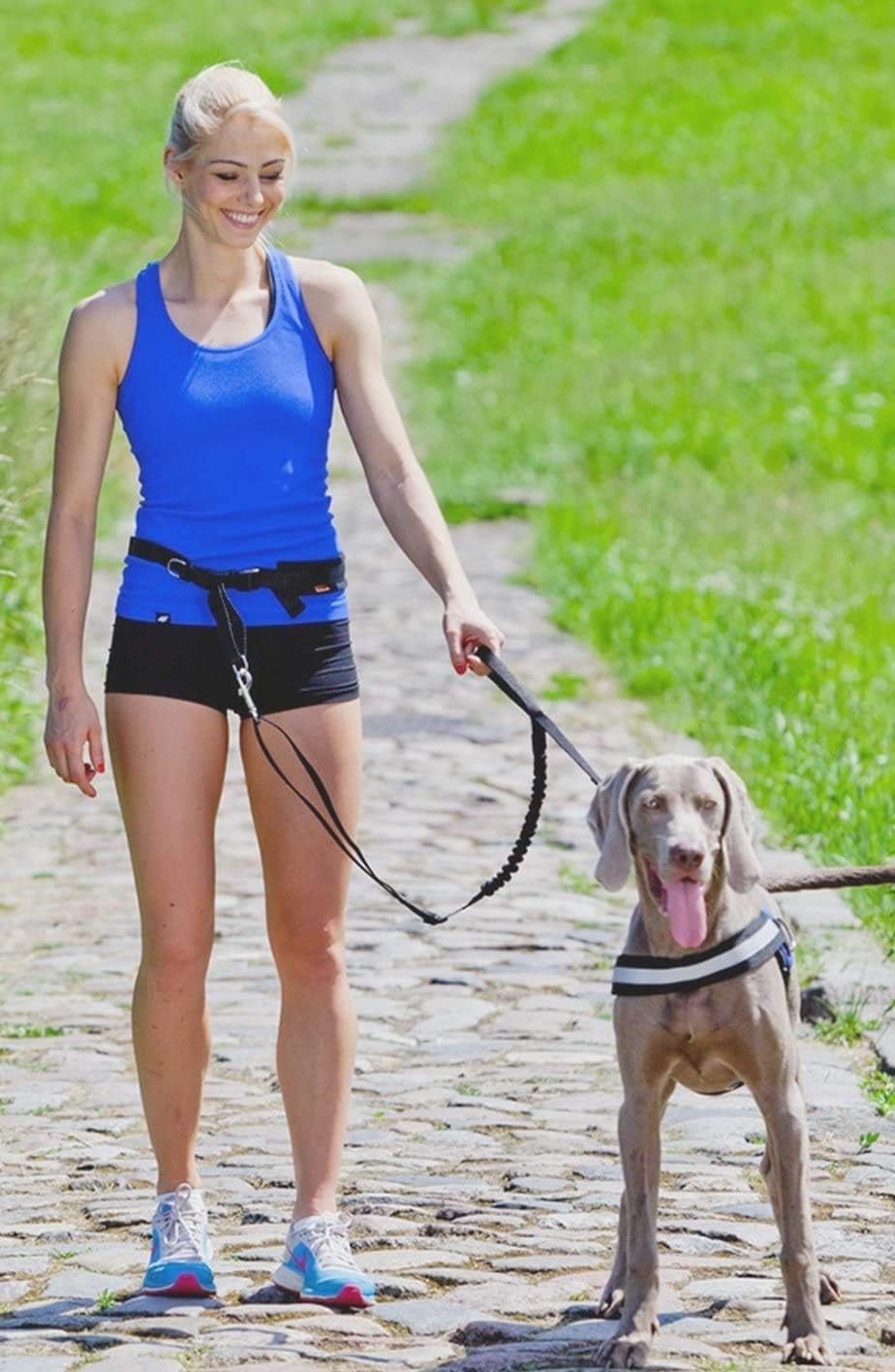 Jogginggurt mit Hundeleine und Stossdämpfer, L/XL (1er Pack) Schwarz