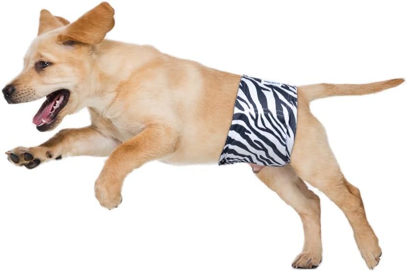 Waschbare Hundewindeln für Rüden (Grösse S, Motiv: Wildes Afrika), Wildes Afrika S