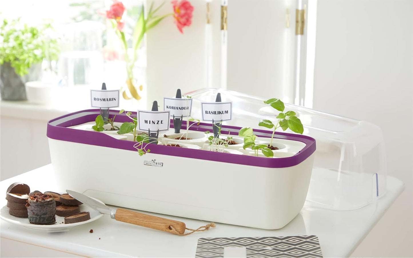BoQube Zimmergewächshaus mit Bewässerungssystem, BoQube L Plus — 41×17×23cm Weiss / Pflaume