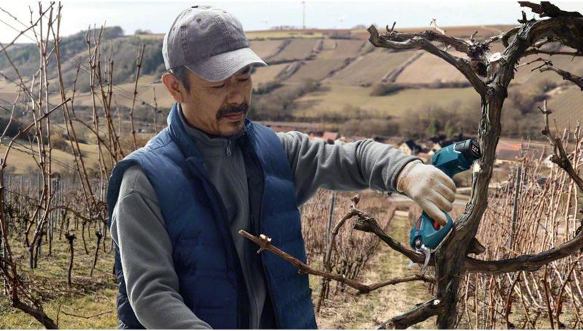 Akku-Astschere Pro Pruner, ohne Akku, Pro Pruner ohne Akku