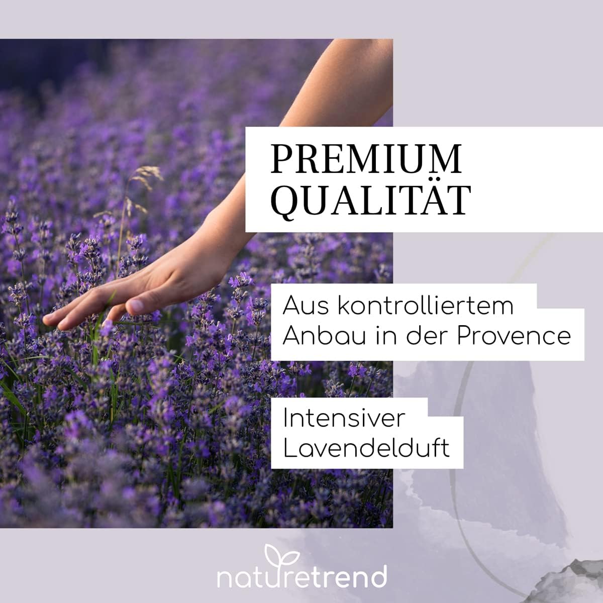 Getrocknete Lavendelblüten aus der Provence, 500 g