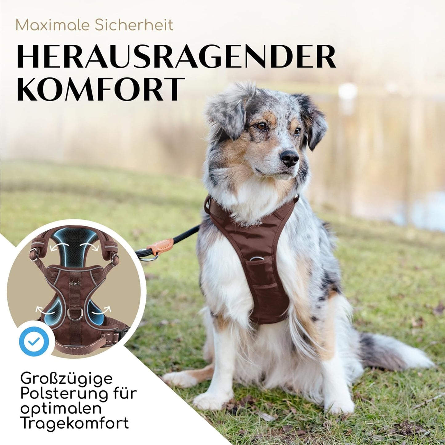 Hundegeschirr mit Griff, atmungsaktiv gepolstert, XS Braun