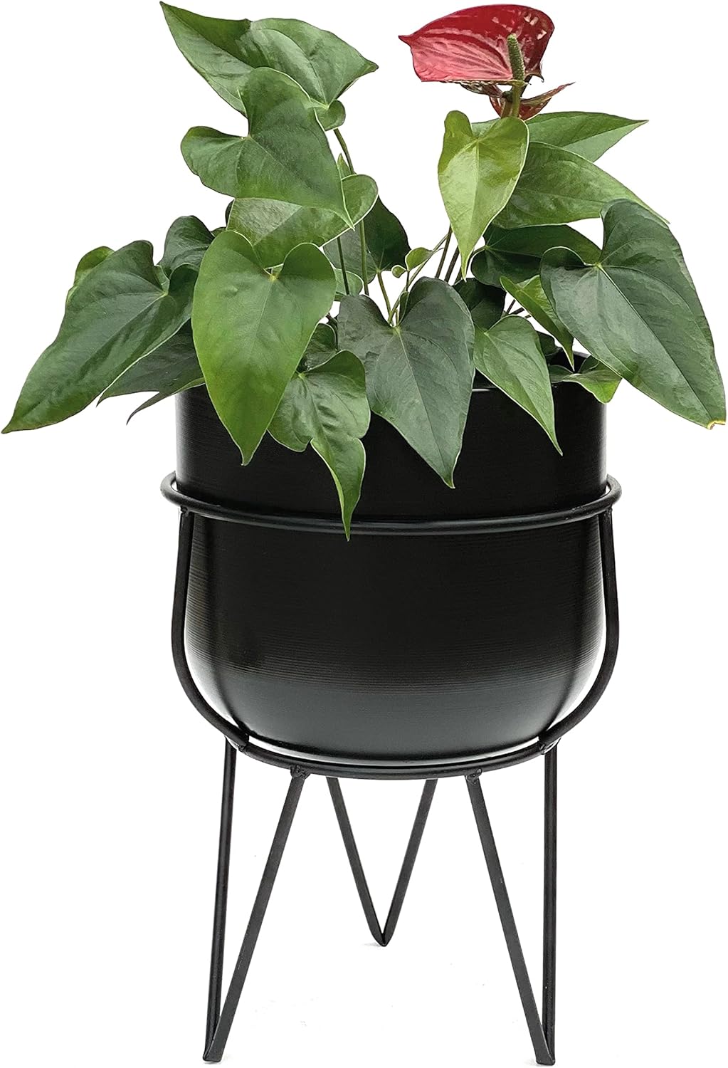 Blumenhocker mit Topf