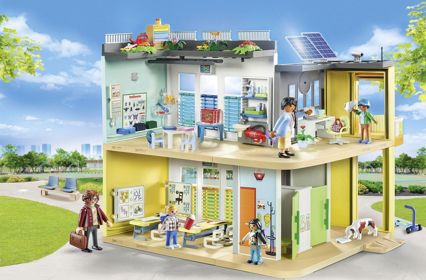 Grosse Schule, 71327, City Life, Single