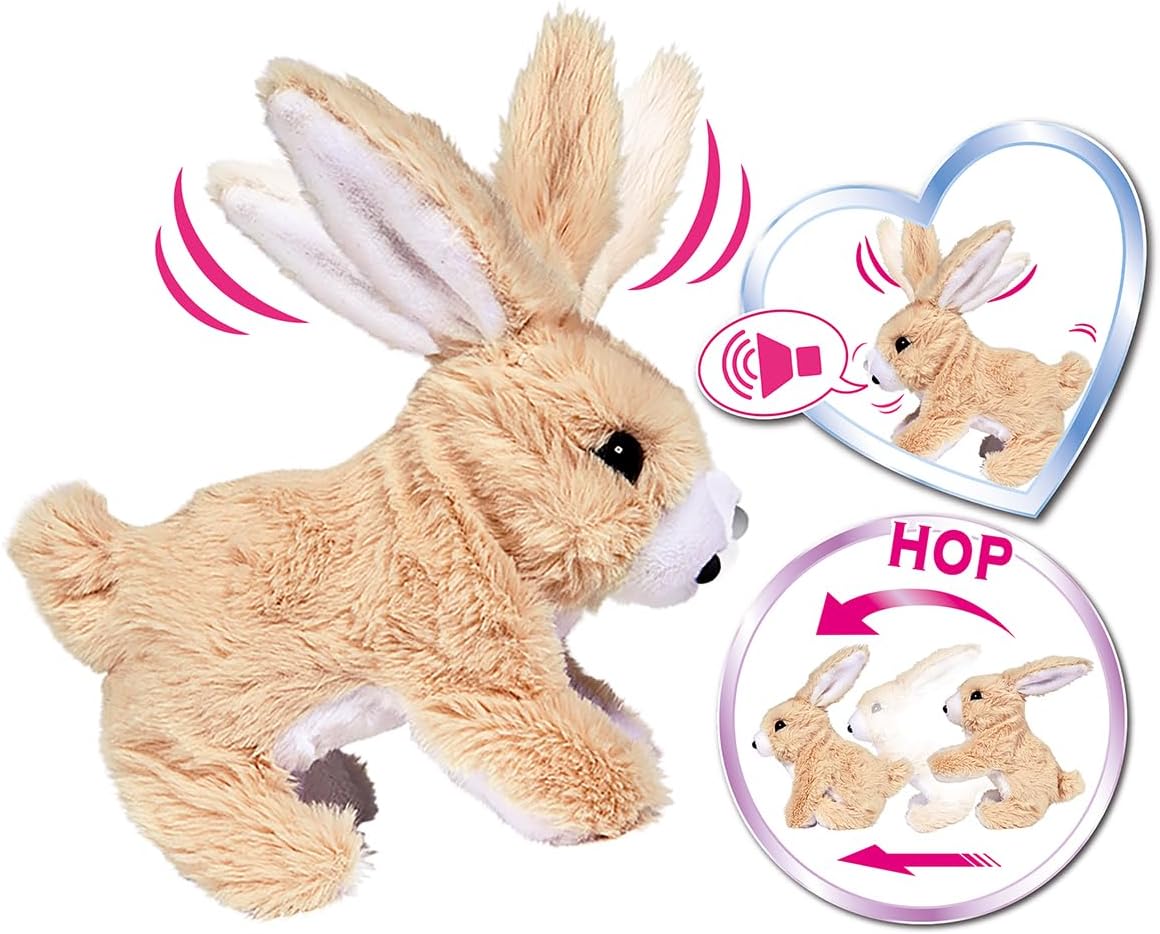 CCL Rabbit