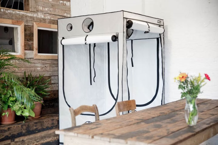 Growbox Ambient R120