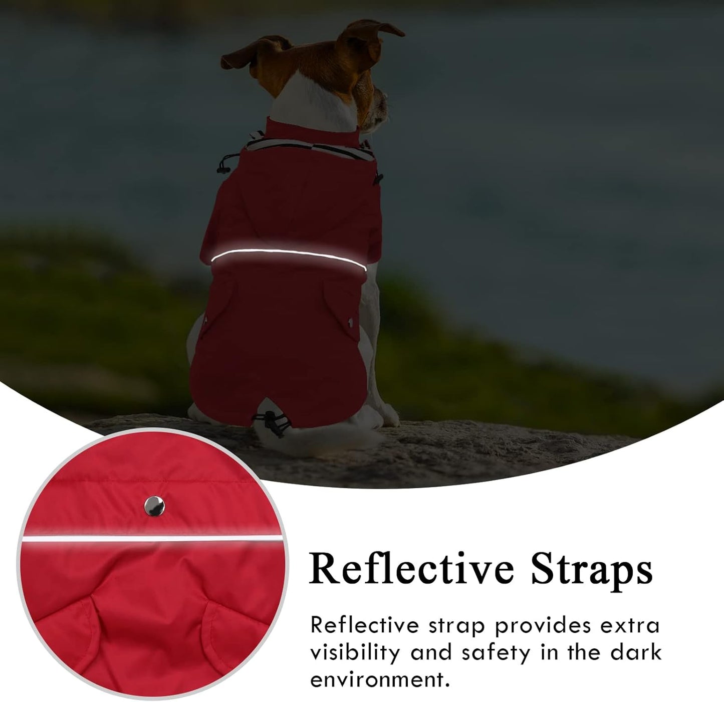 Premium Hunde-Regenjacke mit abnehmbarer Kapuze, XS Rot