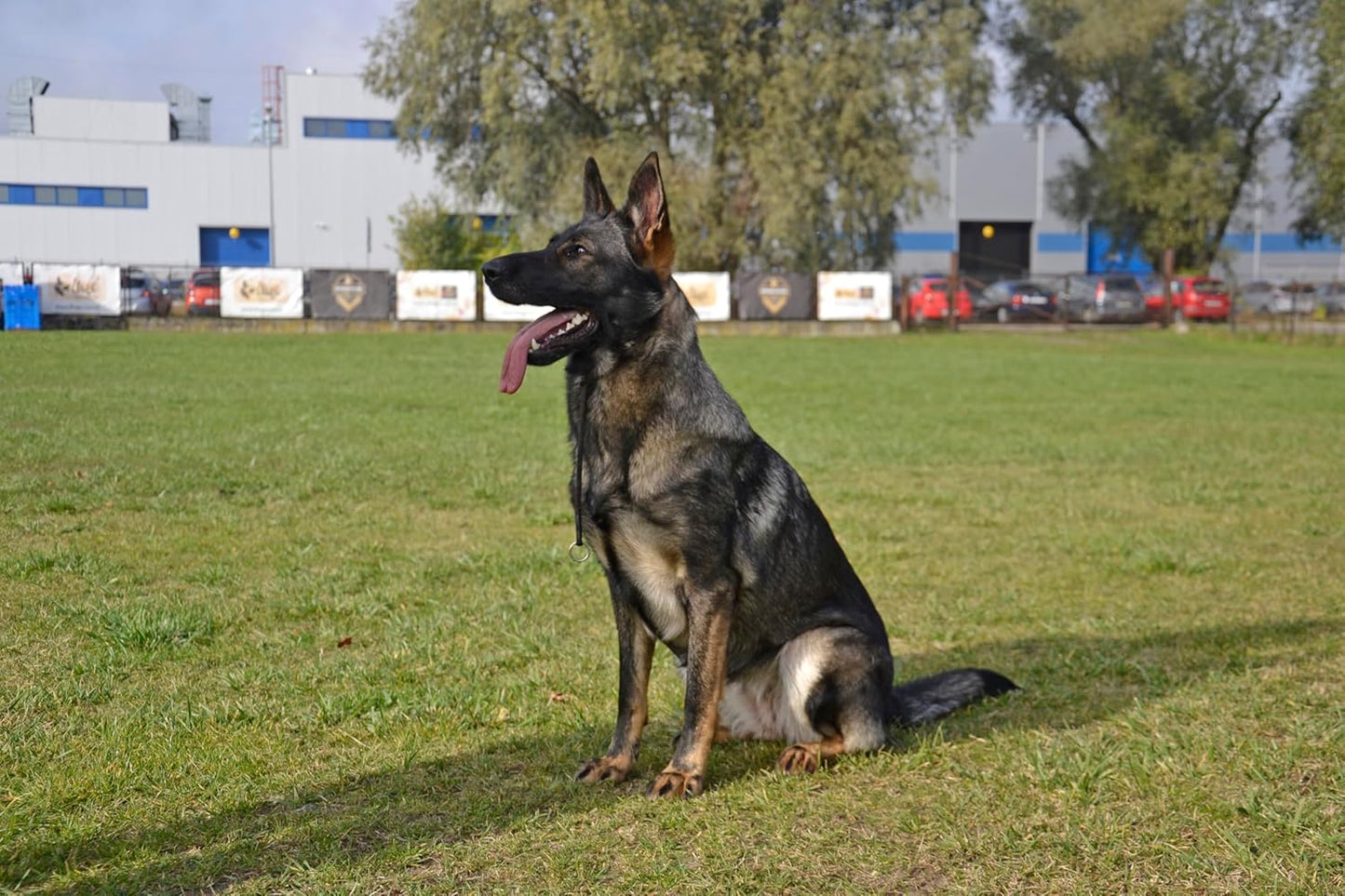 Trainingshalsband für Hunde, xs Dünne 1 Begrenzung