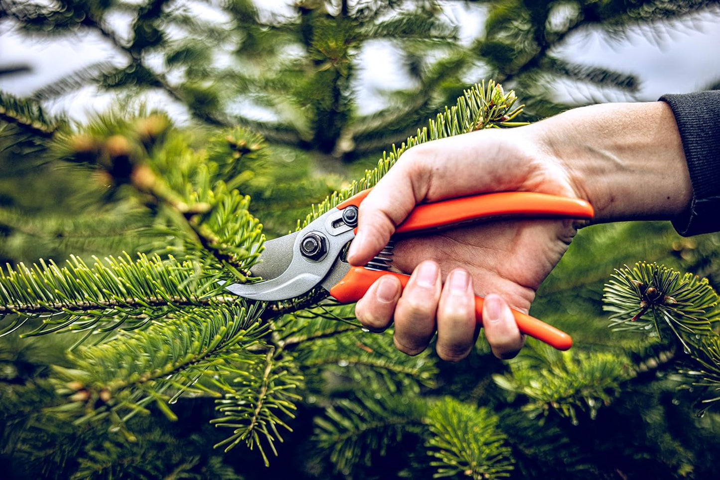 Rosenschere 14.107, Ergonomischer Griff