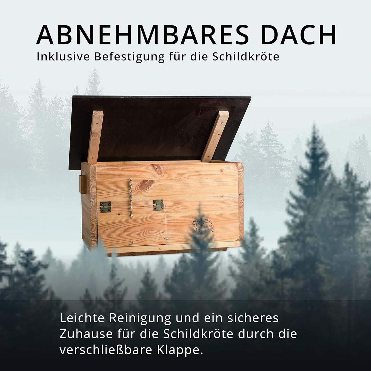 Schildkrötenhaus SH2, Lasiert